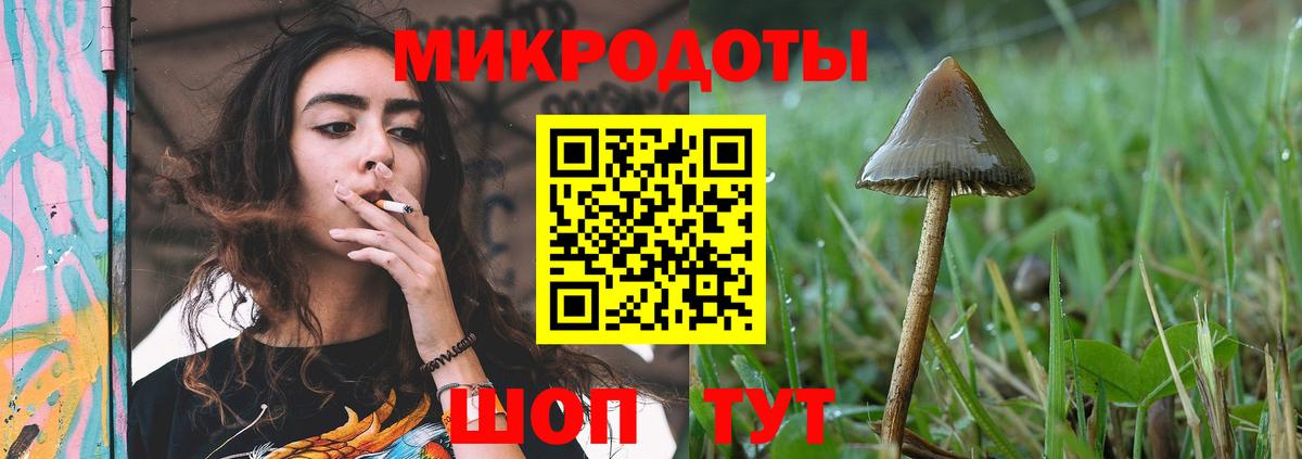 Галлюциногенные грибы Cubensis  Псилоцибиновые грибы Psilocybine cubensis  Вход с VPN  Щёлково 