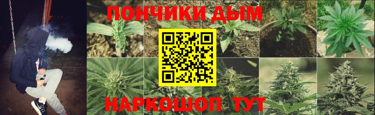 МАРИХУАНА Bruce Banner  Конопля планчик  Канабис White Widow  Щёлково  Каннабис семена  Вход с VPN 